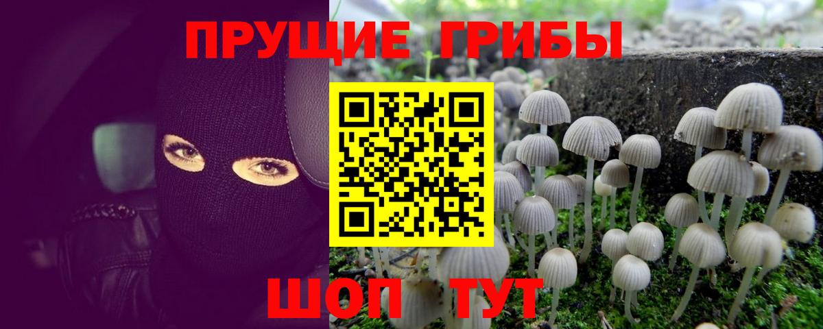 Галлюциногенные грибы мухоморы  Вход с VPN  Красногорск 